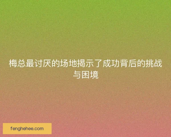 梅总最讨厌的场地揭示了成功背后的挑战与困境 梅总最讨厌的场地揭示了成功背后的挑战与困境