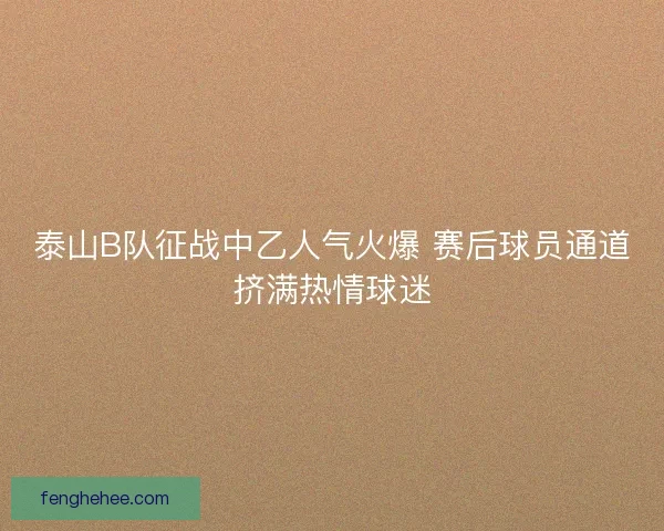 泰山B队征战中乙人气火爆 赛后球员通道挤满热情球迷 泰山B队征战中乙人气火爆 赛后球员通道挤满热情球迷