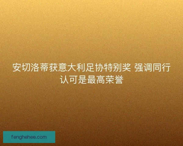 安切洛蒂获意大利足协特别奖 强调同行认可是最高荣誉