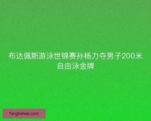 布达佩斯游泳世锦赛孙杨力夺男子200米自由泳金牌