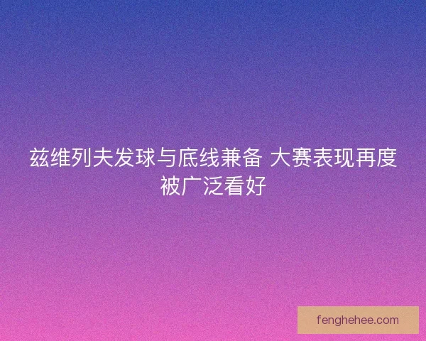 兹维列夫发球与底线兼备 大赛表现再度被广泛看好