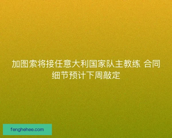 加图索将接任意大利国家队主教练 合同细节预计下周敲定 加图索将接任意大利国家队主教练 合同细节预计下周敲定